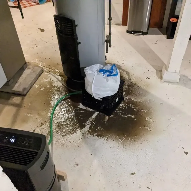 Sewage Backup Cleanup Service in Warm Springs, OR